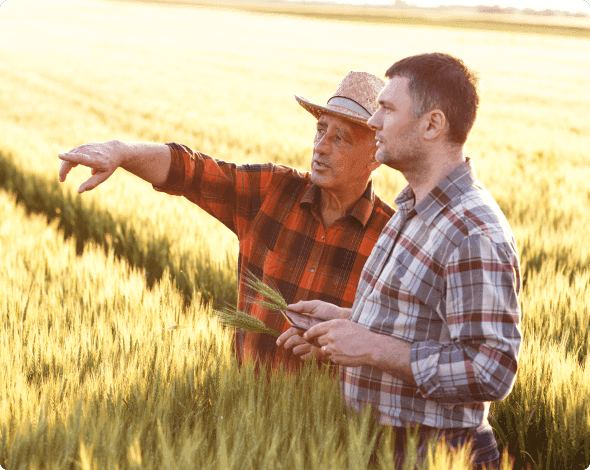 a man and a son in a field