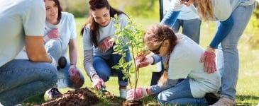 a group of people planting a tree