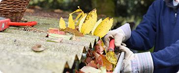 A person clearing leaves from the gutter