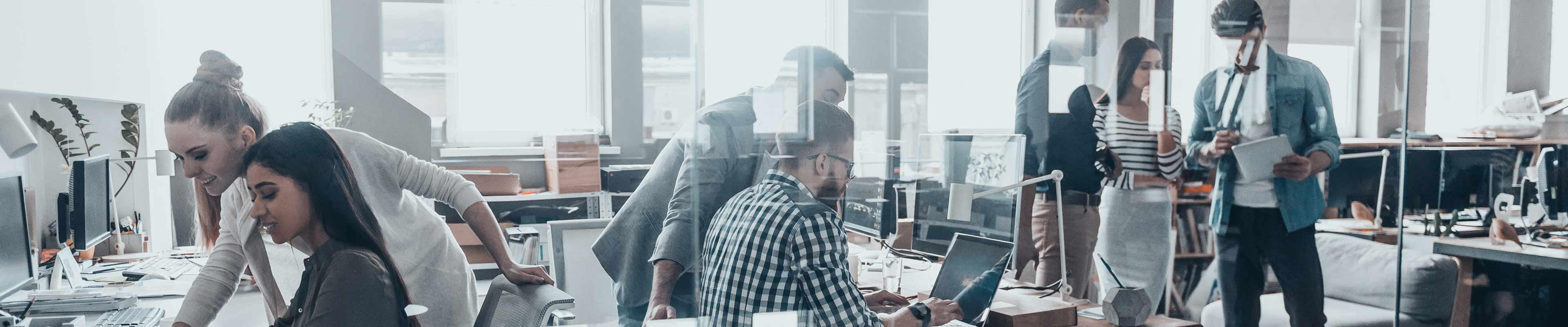 Young workers at business on computers preventing cyber crime. 