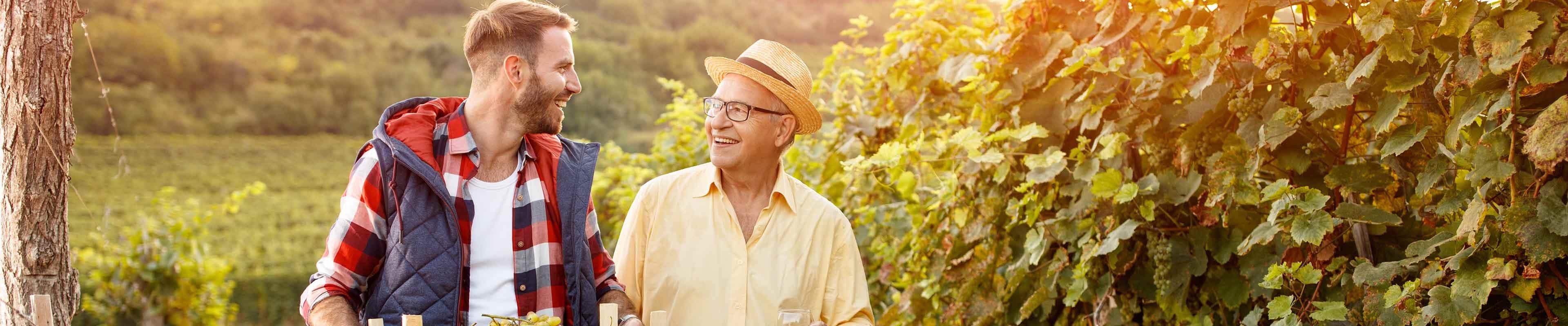 Young man and older father walking through vineyard discussing farm succession plan.